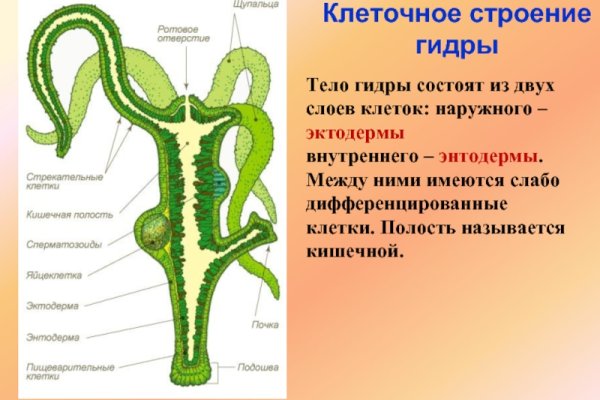 Как найти сайт кракен