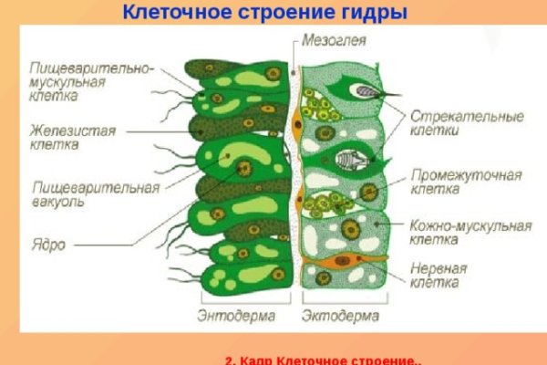 Ссылки для tor