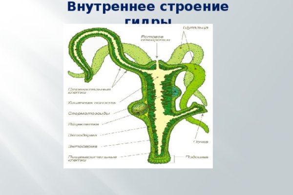 Кракен 15 сайт